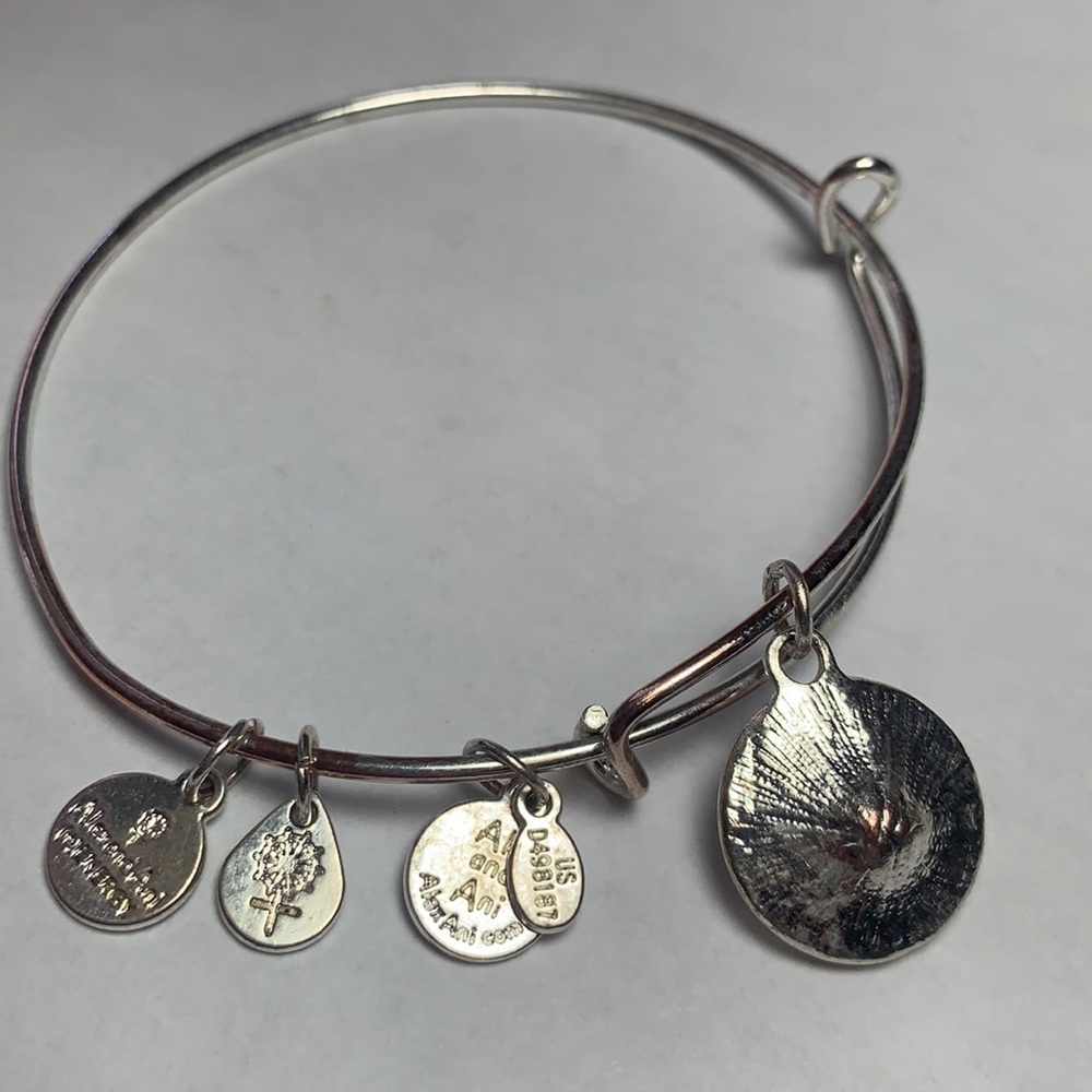 Alex and Ani Clear Stone Bangle Bracelet - Picture 5 of 5